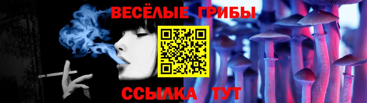 Псилоцибиновые грибы прущие грибы Миасс
